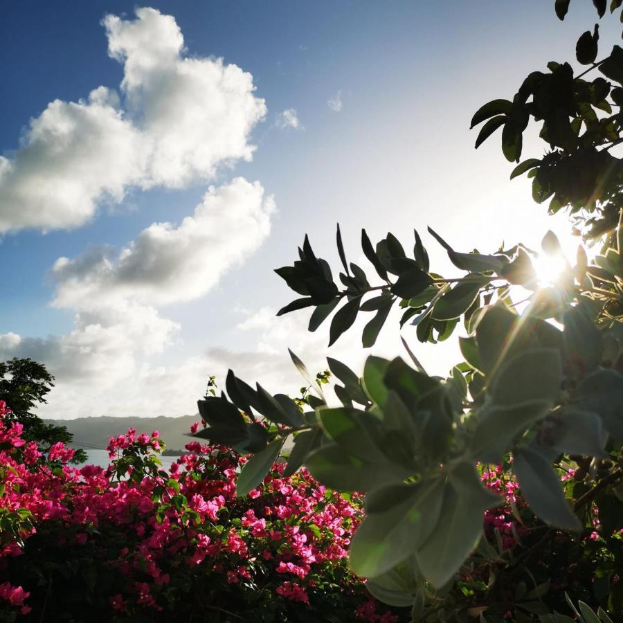 Vue Sur Mer A La Villa Parme Le Robert Ngoại thất bức ảnh